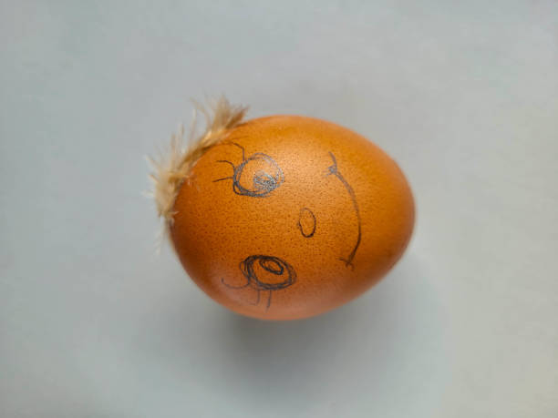 Egg on pink feathers, macro. Baby Shower girl concept with egg and pink feathers. Concept for birthday, Easter, baby newborn.