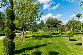 manicured-garden-with-a-variety-of-trees
