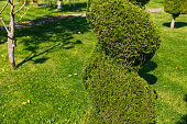 manicured-garden-with-a-variety-of-trees