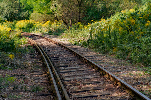 istock Old disused railway tracks running through the forest. 2176503703