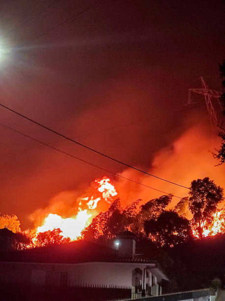 istock Severe forest fires near houses 2176504221