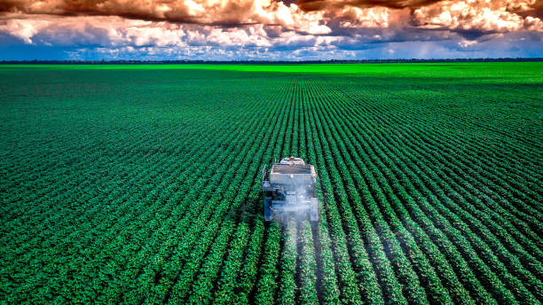istock Agribusiness: Tractor throwing limestone over crops on the farm. 2176504241