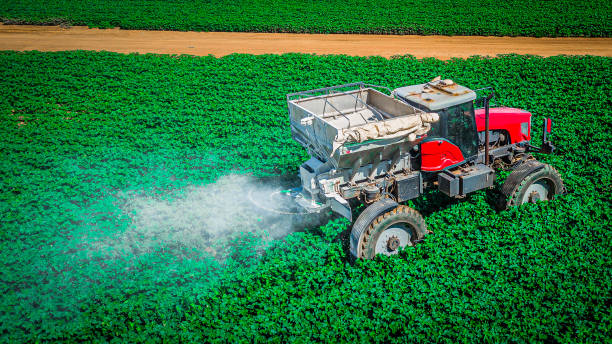 istock Agribusiness: Tractor throwing limestone over crops on the farm. 2176504265