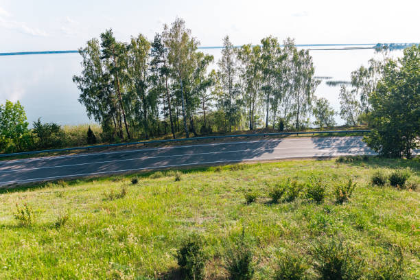 Winding road lined with trees. The road is empty. The trees, birch trees, are a beautiful shade of green, casting long shadows on the pavement.
