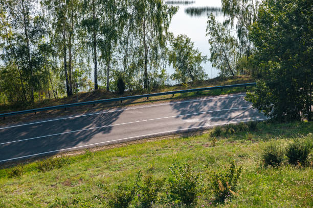 Winding road lined with trees. The road is empty. The trees, birch trees, are a beautiful shade of green, casting long shadows on the pavement.