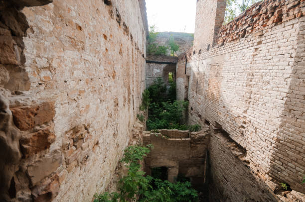 istock Abandoned Ruins Embraced by Nature s Reclamation 2176520666