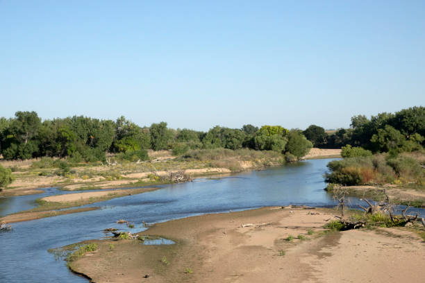 On the eastern plains of Colorado, the South Platte River meanders and braids with dead cottonwood tree snags near the town of Kersey.