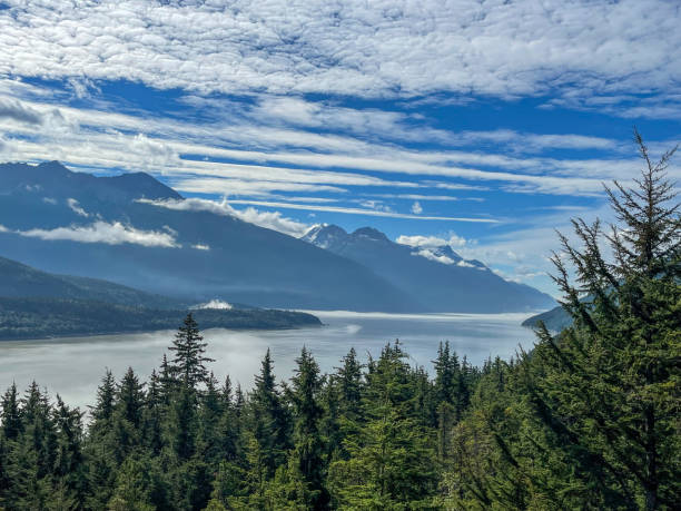 istock Beautiful Mountain Range With Trees In Alaska 2176523911