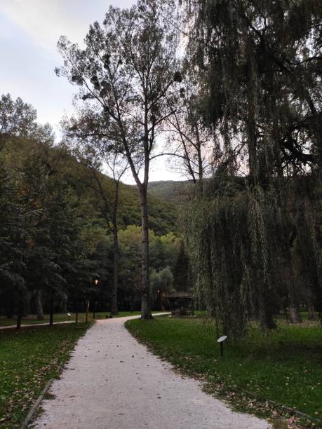 istock Vrelo Bosne – Spring of the Bosna 2176524326