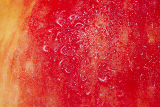 istock Red and yellow apple texture with water drops as background. 2176537363