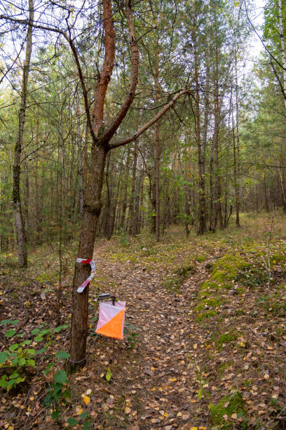 istock Orienteering. Control point Prism and electric composter for orienteering in the spring forest. 2176537779