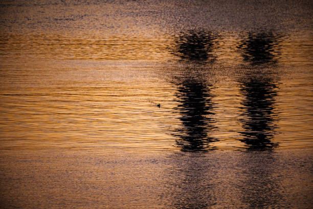 Sun set color is reflected on water surface, glittering, and bridge piers are reflected in the water as well.