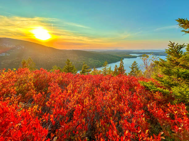 istock Cadillac Mountain, Acadia National Park 2176550888