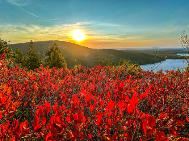 istock Cadillac Mountain, Acadia National Park 2176551123