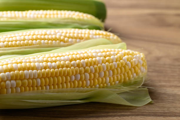 istock Fresh sweet corn (bicolor) on wooden background 2176558099