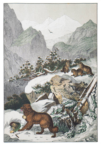 Hand colored engraving - Instructive Recreations for Youth. III. Series. Third Edition. Esslingen. J. F. Schreiber. 1876.