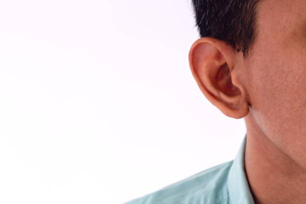Ear on the wall, human ear organ 3d rendering