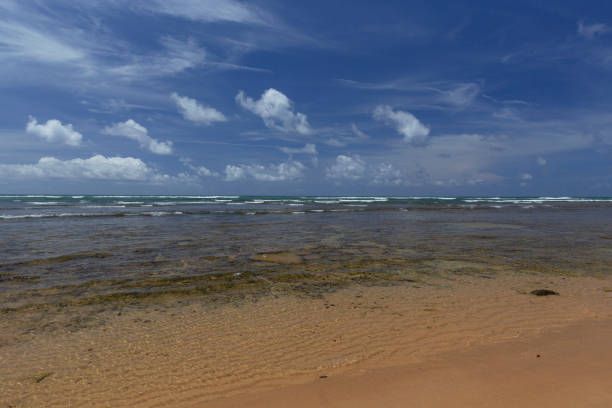Porto Seguro, Arraial d’Ajuda - tropical beach with translucent waters in Bahia, northeast Brazil