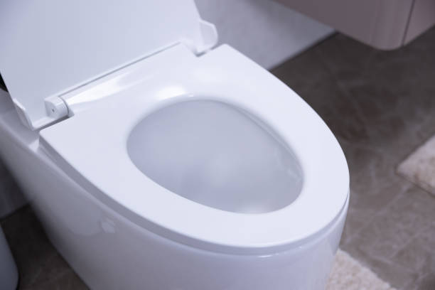 istock The toilet lid is open in the bathroom. 2176567310