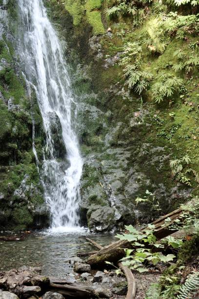 istock Madison Falls In Olympic National Park 2176578757