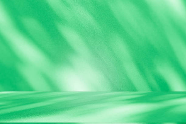 istock Studio style background wall decoration presentation uses white and green tones. with shadows cast from a nearby window, concept creating a decorative 2176582791