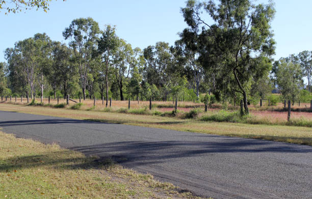 istock Road winding through the Australian countryside with trees and grass 2176585572