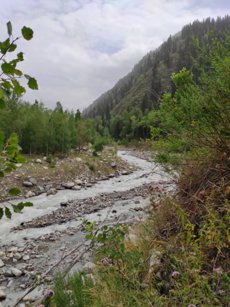 istock Dirty stream of a mountain river 2176587310