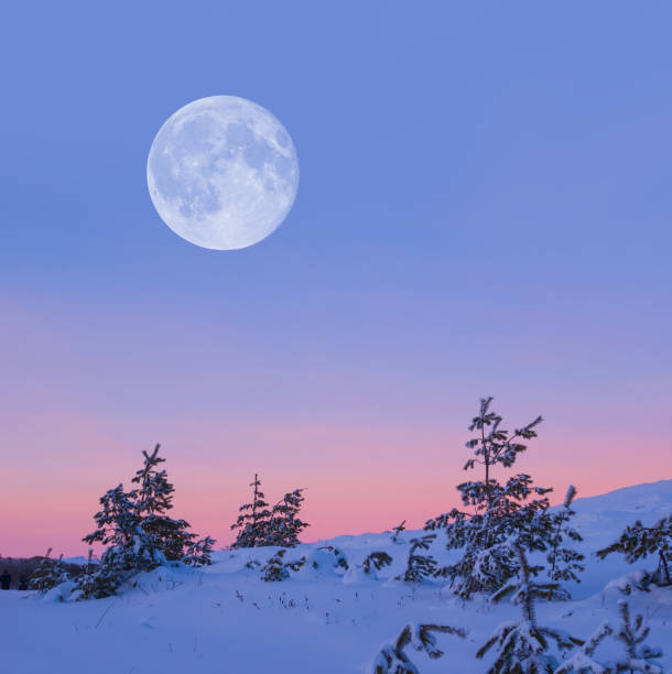 istock snowbound fir tree forest under a huge moon at the twilight, calm evening winter scene 2176597748