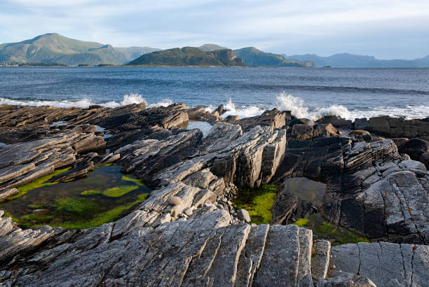 Rocky shoreline with vibrant tide pools and distant mountains during a serene morning along the coast