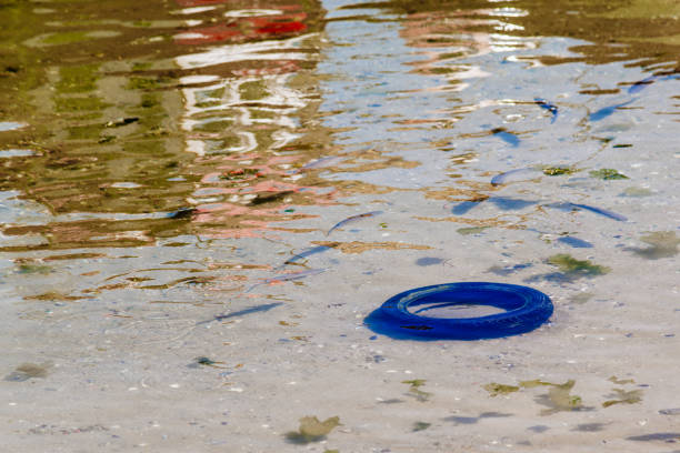 Yellow rubber ring floating on clear shallow sea at Penn Vounder Beach, Cornwall on a bright sunny June day.