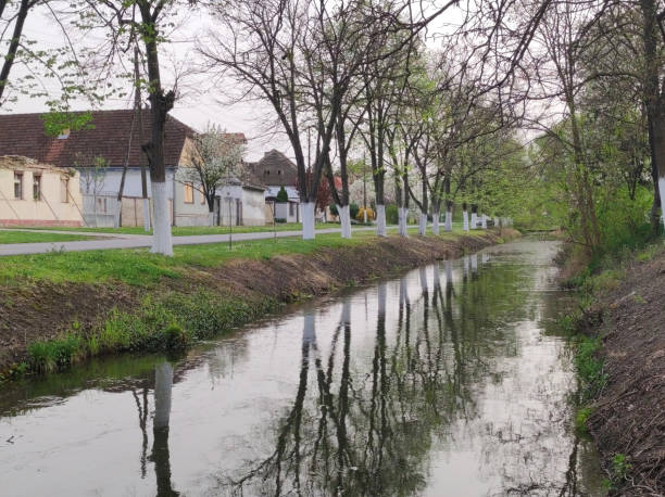 istock Spring in rural village Backi Petrovac, Vojvodina 2176604522