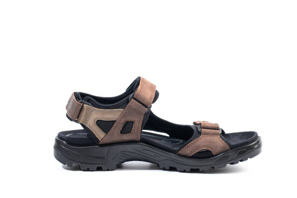 istock sport sandals isolated on white background- Image 2176610585