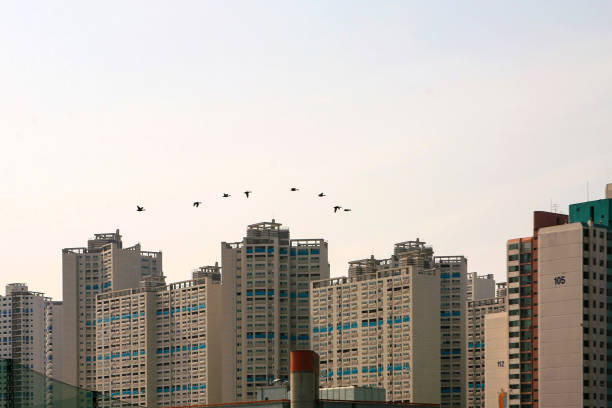 Landscape in the city