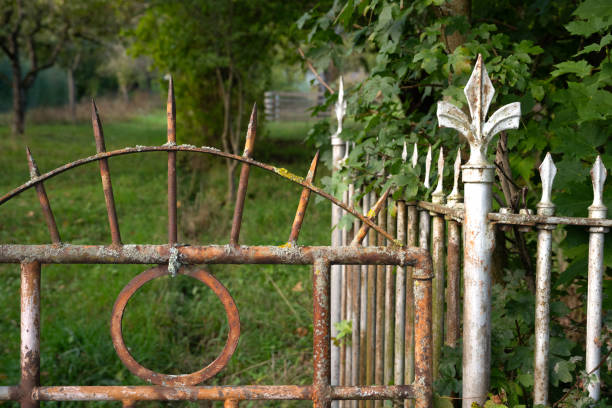 Close up of an ornate French gate with narrow depth of field.