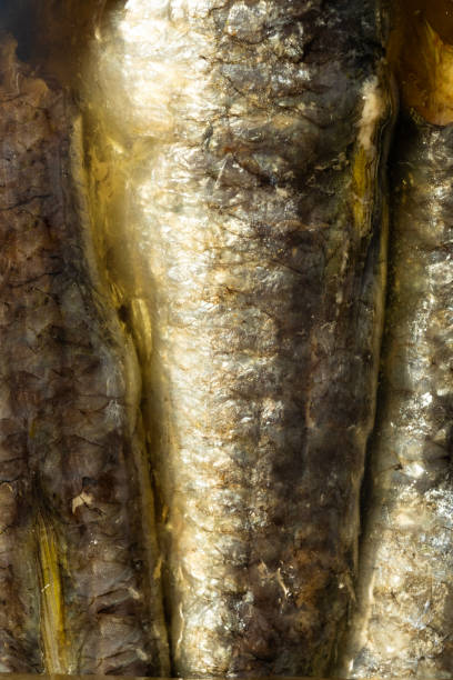 Close up of fish scales