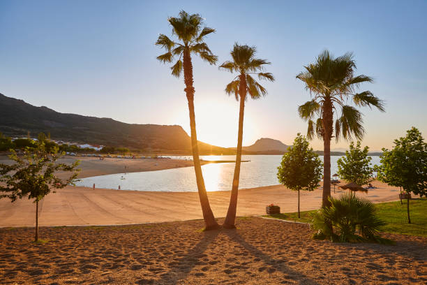 istock Sunset with palm trees at artificial beach. Peloche, Extremadura. Spain 2176615246