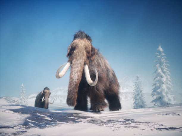 istock Mammoth in a winter landscape. 2176615529