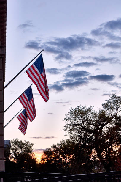 Washington DC, USA - October, 3, 2016: Three American flags are prominently displayed against an early morning sunlit sky with the silhouette of trees creating a sense of patriotism and tranquility.