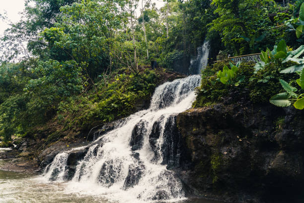 istock A serene waterfall cascades through lush greenery in a tranquil forest environment 2176616181