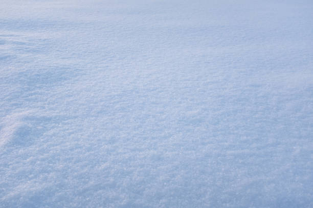 Snow background, top view. Snowy texture. Winter backdrop for publication, poster, screensaver, wallpaper, postcard, banner, cover, post. High quality photography