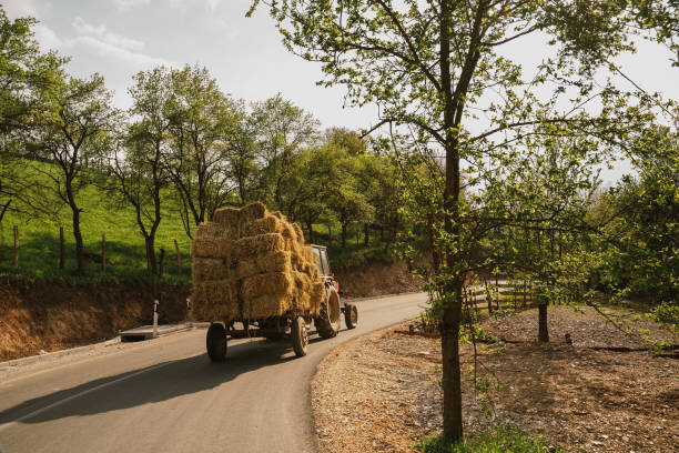 istock Tractor transporting hay bales along a winding rural road under a bright spring sky 2176617011