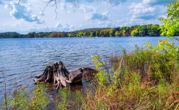 Secenic view of Hunter's Bay from Trans Canada Trail in Huntsviile, Ontario, Canada