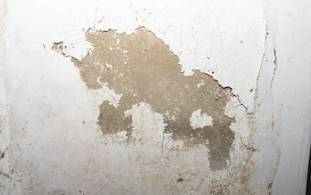 istock old painted walls that are affected by moisture 2176637672