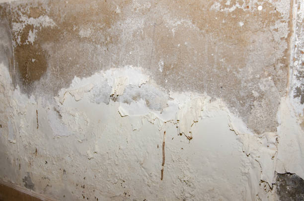 istock old painted walls that are affected by moisture 2176637811