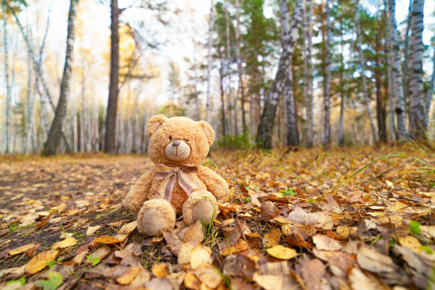 teddy bear in autumn park