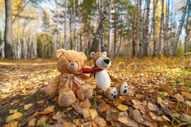 istock teddy bear in autumn park 2176637985