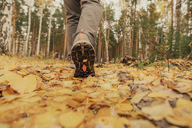 istock Footsteps in the countryside in autumn 2176638022