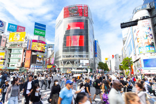 Shibuya scramble crossing Shibuya, Tokyo.12 Oct 2024.\nMany people walk through the Shibuya scramble crossing.