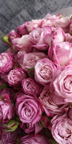 istock A large bouquet of pink roses. 2176649009