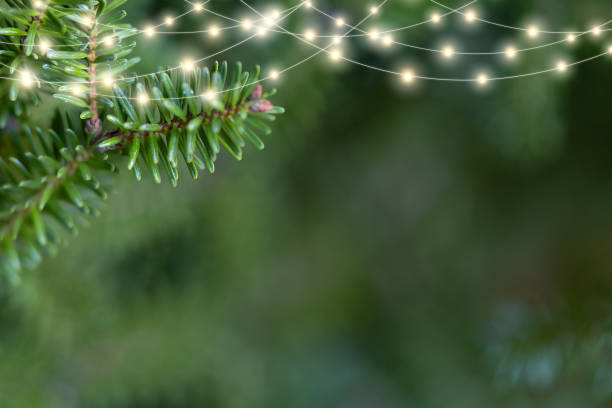 istock Defocused Christmas tree with glowing light garlands 2176662575